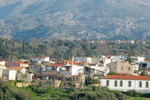 Μαργαρίτες