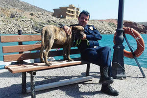 Μόνο υπάνθρωποι μπορούν να μείνουν ασυγκίνητοι στο βλέμμα του τετράποδου... ναύτη