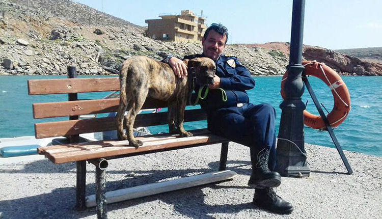 Μόνο υπάνθρωποι μπορούν να μείνουν ασυγκίνητοι στο βλέμμα του τετράποδου... ναύτη