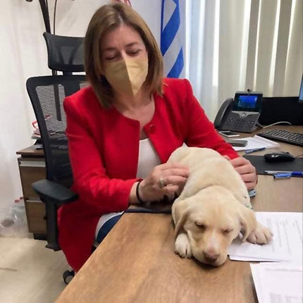  Δεν ήταν πάντως η πρόεδρος, η μόνη. Και η αντιδήμαρχος Ηρακλείου Μαρία Καναβάκη Παγκόσμια Ημέρα των Αδέσποτων ,με τον Ιβάν. Το σκυλάκι από το Κυνοκομείο!