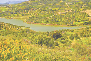 ΦΡΑΓΜΑ ΠΑΡΤΙΡΑ