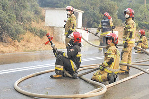 δασοκομάντος