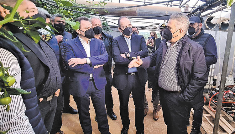 ΤΙ ΕΙΠΕ Ο ΓΕΩΡΓΑΝΤΑΣ ΣΤΗΝ ΙΕΡΑΠΕΤΡΑ Λύση για τα θερμοκήπια και αναμονή για τα μελίσσια που... αυτοκτονούν