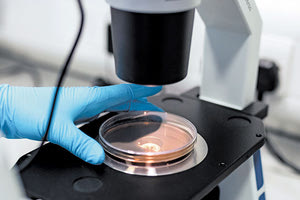 Το Υπουργείο Παιδείας προωθεί τη συνεργασία των ΑΕΙ με τις επιχειρήσεις μέσω τω βιομηχανικών διδακτορικών