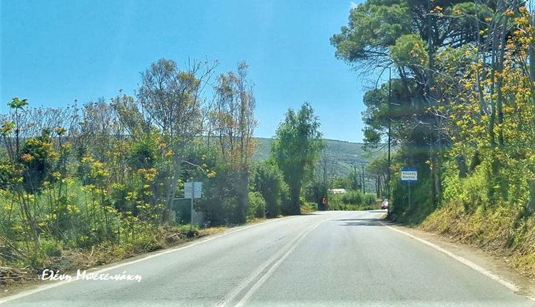 φωτο μπετεινακη