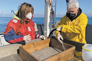 Αισιόδοξα είναι τα μηνύματα που έρχονται από την οικολογική μελέτη στους κόλπους Ηρακλείου και Χανίων