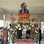 Δείτε όλα τα άρθρα από το χρήστη Συνεργάτες Εφημερίδας