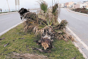 Έξι άνθρωποι σκοτώθηκαν μετά από προσέκρουση στους φοίνικες λέει ο κ. Λιονάκης