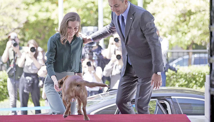 ΜΗΤΣΟΤΑΚΗΣ ΥΠΟΔΟΧΗ ΣΤΟ ΣΚΥΛΟ