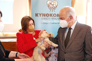 Λότζια: Μια αγκαλιά για τα αδέσποτα