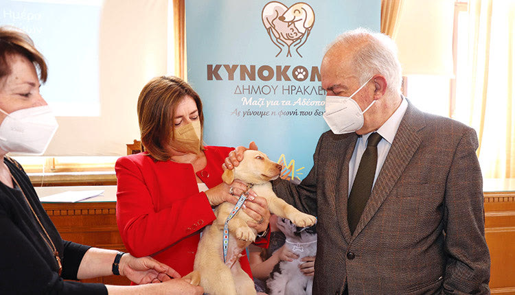 Λότζια: Μια αγκαλιά για τα αδέσποτα