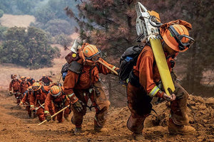 δασοκομαντος