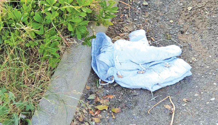     Το χάλι στο παρκάκι