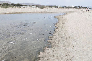 Οι εικόνες που θορύβησαν τους κατοίκους της περιοχής