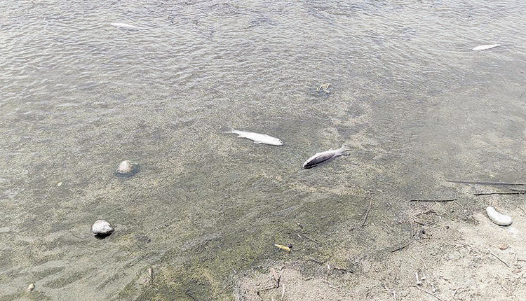 Οι εικόνες που θορύβησαν τους κατοίκους της περιοχής