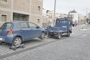 ΓΕΡΑΝΟΣ ΤΡΟΧΑΙΑ