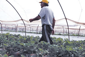 εργάτες γης