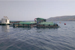 Η μονάδα ιχθυοκλωβών στον όρμο της Σούδας