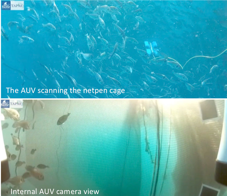 Το “ρομπότ” σε λειτουργία μέσα στον κλωβό και η εικόνα που αναλύει για τον έλεγχο του διχτυού