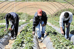 Λύση λόγω… επιβίωσης