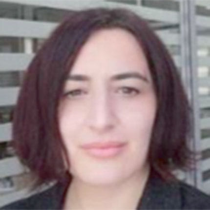 Η προϊσταμένη του Περιφερειακού Παρατηρητηρίου Κοινωνικής ένταξης της Περιφέρειας Κρήτης κ. Αικατερίνη Βλασάκη