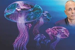 Πριν από έναν χρόνο, τον Μάιο του 2021, οι μοβ μέδουσες είχαν κάνει την εμφάνισή τους και σε ανατολικές παραλίες στην Κρήτη