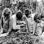 Δείτε όλα τα άρθρα από το χρήστη Ευτύχιος Σ. Καλογεράκης