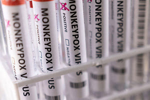 Η ευλογιά των πιθήκων