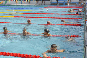 ΟΦΗ ΚΟΛΥΜΒΗΣΗ