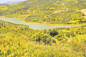 Πάρτιρα: Αδειάζει το φράγμα, φαίνεται το πρόβλημα