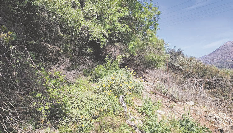 Βάζουν συρματοπλέγματα παντού και δεσμεύουν δημόσιες και ιδιωτικές εκτάσεις