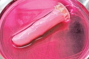 μη μου κουνας το ρομποτικο δάκτυλο