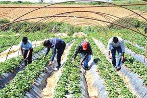 Πιέζουν για τους εργάτες γης