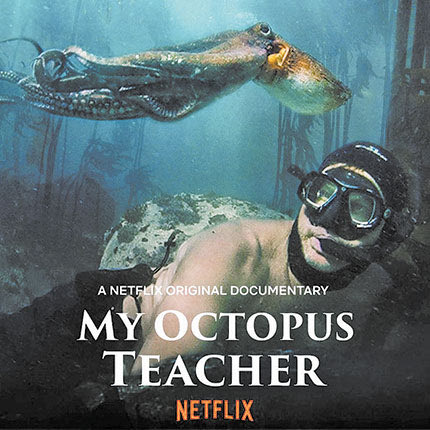 my octopus teacher 