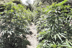 3 Από τα Χανιά και τον Μυλοπόταμο μέχρι το Κεραμούτσι και τον Άγιο Θωμά