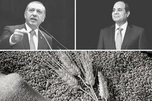 Ένα δίκιο το έχει ο Καιρίδης. Πως ο Ερντογάν επιδιώκει να ελέγξει την εξαγωγή των ουκρανικών και των ρωσικών δημητριακών στην παγκόσμια αγορά.