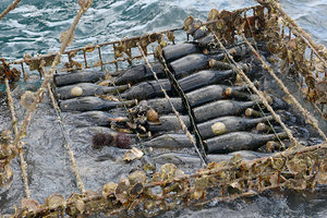 ΑΙΤΗΜΑ ΩΡΙΜΑΝΣΗΣ ΕΜΦΙΑΛΩΜΕΝΟΥ ΚΡΑΣΙΟΥ ΣΤΟ ΚΡΗΤΙΚΟ ΠΕΛΑΓΟΣ