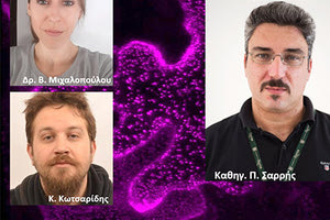 Η έρευνα «Μικροβιολογίας και Μοριακών Αλληλεπιδράσεων Μικροβίου-Ξενιστή», του Ινστιτούτου Μοριακής Βιολογίας και Βιοτεχνολογίας (ΙΜΒΒ) του ΙΤΕ