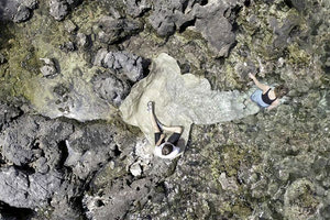 Tender shell geophilia, της Ιλεάνας Αρναούτου και της Ισμήνης Κινγκ, νικητριών του Βραβείου Τέχνης Ιδρύματος Γ&Α Μαμιδάκη 2022