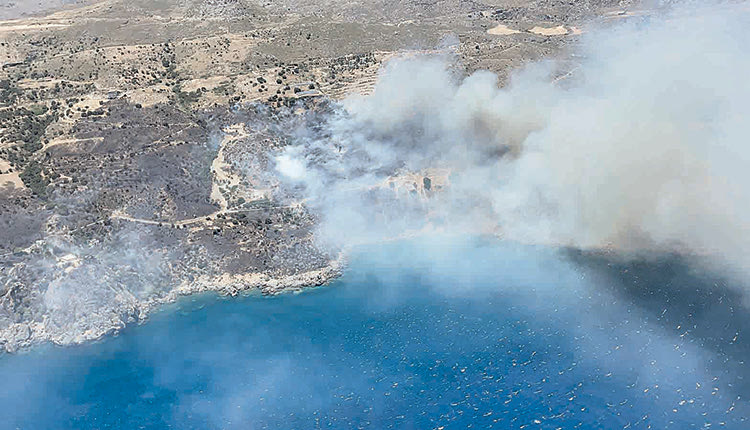 Φωτογραφία από τη μεγάλη φωτιά στο Ροδάκινο
