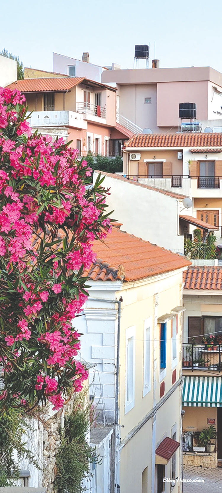 «Ζητούνται Τζιτζίκια», επειγόντως!