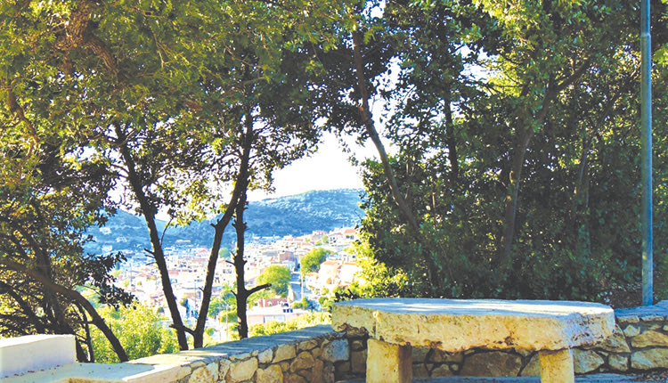 «Ζητούνται Τζιτζίκια», επειγόντως!