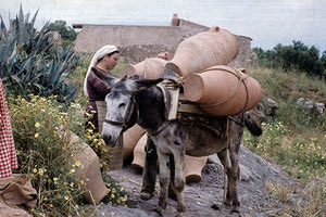 ΦΩΤΟΗΜΕΡΑΣ: Στο Θραψανό αρχές της δεκαετίας ‘60. Αγγειοπλάστες φορτώνουν γάιδαρο για να στείλουν στην αγορά τα πυθάρια.