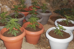 Τα ναρκωτικά που βρήκε η ΕΛ.ΑΣ.