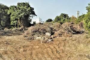 “Πόλεμος” ανακοινώσεων για το δάσος