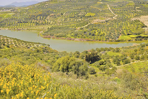 Αυξημένες ανάγκες και πιέσεις για το φράγμα των Παρτίρων