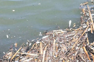 Υπό το βάρος της δικαστικής έρευνας αναζητείται λύση στο Γιόφυρο