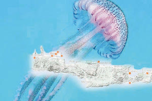 Ο χάρτης με τις παραλίες της Κρήτης