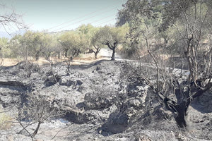 ΣΥΝΤΟΝΙΣΤΙΚΑΝ ΣΤΑ ΚΑΜΜΕΝΑ