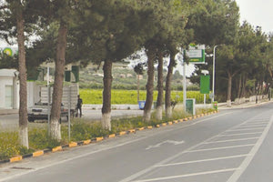 ΕΞΑΦΑΝΙΣΑΝ ΤΑ ΠΕΥΚΑ